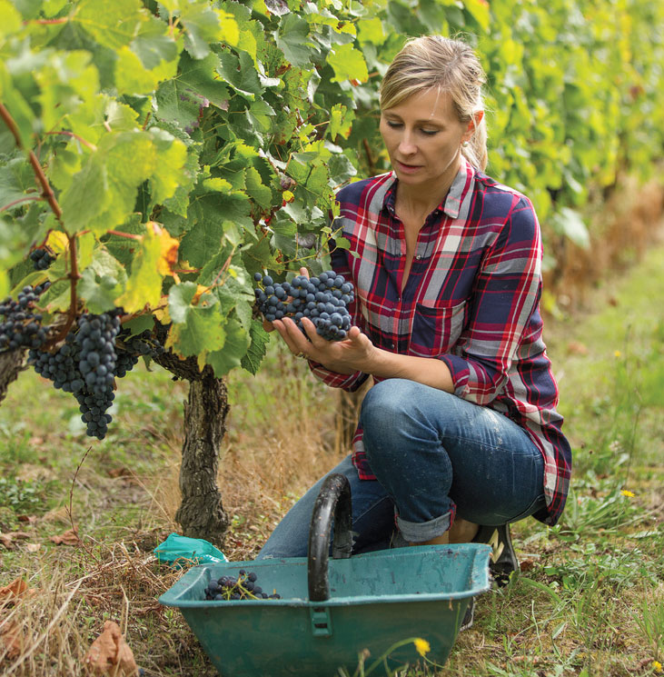 Women Picking Berries
